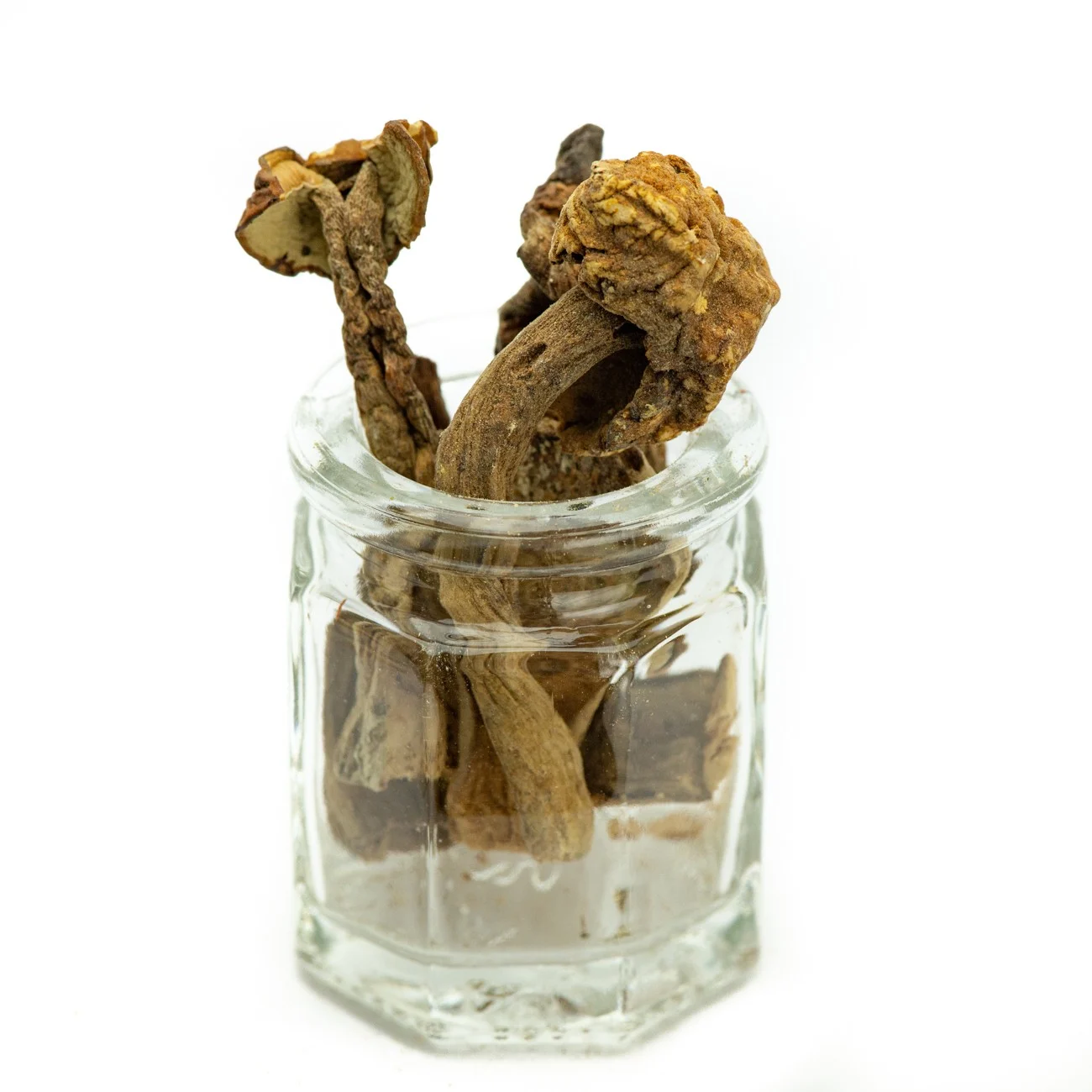 &Mu;&alpha;&nu;&iota;&tau;ά&rho;&iota;&alpha; &Pi;&omicron;&rho;&tau;&sigma;ί&nu;&iota; &Kappa;ί&nu;&alpha;&sigmaf; Mushrooms Porcini